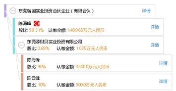 東莞瑞國實業投資合伙企業（有限合伙） 專注實業投資的策略與實踐